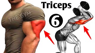 6 Best Exercises To Get Big Triceps Workout  THE GYM [upl. by Suehtomit]