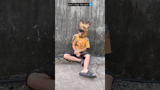 Anjing yang baik 👍 di dunia bagian 2 🐕‍🦺🐕dog doglover dogtraining shorts viralshorts india 🐕‍🦺 [upl. by Anor]