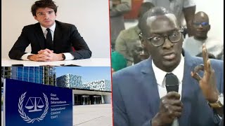 Loi damnistie générale la plainte contre Macky au CPI les précisions de taille de Me Tine [upl. by Enovahs311]