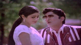 Panchami Poota Manchidhani Video Song  Sriranganeetulu Movie  ANRSridevi [upl. by Rysler]