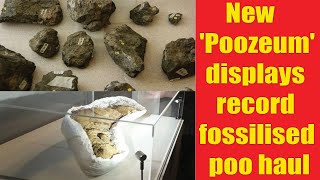 Worlds Largest Fossilised Poop Collection The Poozeum Tour  Latest Updates [upl. by Pape666]