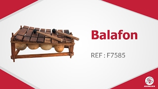 Balafon  instrument [upl. by Roanne]