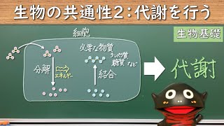 生物の共通性２：代謝を行う【09生物基礎】2022年度入学以降の新課程に対応 [upl. by Kosaka]