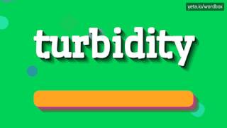 TURBIDITY  HOW TO PRONOUNCE IT [upl. by Gaspard]