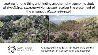 Phylogenomic Study of Eriodictyon capitatum Resolves Placement of Nama rothrockii by M Guilliams [upl. by Waldack]