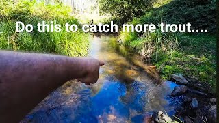 Trout Fishing Tips How To Catch More Trout [upl. by Noicpecnoc]