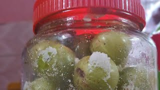 Nellikka uppilittathu  Salted Amla  Easy preservation method shorts vrindhavanamourhome [upl. by Ettie289]