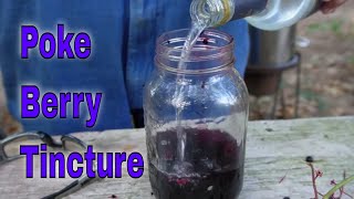 Poke Berry Tincture [upl. by Leirej]