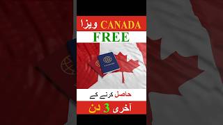 Free Visa  Apply for a US Visa and Get a Canada Visa for FREE  Free Offer  Nile Consultant visa [upl. by Zetes]