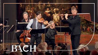 Bach  Brandenburg Concerto no 5 in D major BWV 1050  Sato  Netherlands Bach Society [upl. by Nanyt]