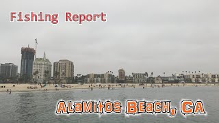 fishing report Sep 07 2020 Alamitos beach ca wide open bonita fishing with friendsmetal jig [upl. by Eiuqcaj609]