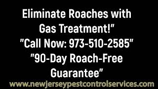 Silver Bullet Roach Gas Treatment [upl. by Am]