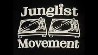 Old Skool Jungle Mix Mixed By Blazeitdown [upl. by Langston709]