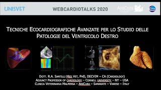 Tecniche Ecocardiografiche Avanzate per lo Studio delle Patologie del Ventricolo Destro [upl. by Lauber392]