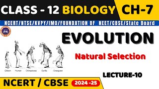 EVOLUTION I LECTURE11 I NATURAL SELECTION EVOLUTION I CLASS 12 I NEETCBSEState Board [upl. by Anne-Marie]