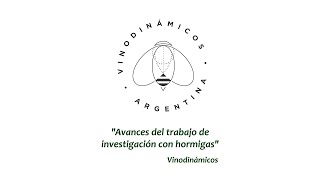 VINODINÁMICOS ARGENTINA  Avances del trabajo de investigación con hormigas 2° Parte [upl. by Yrneh735]