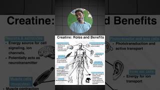 creatine side effects for menwomen Part1  ytshorts minivlog shortfeed shorts shortsbeta [upl. by Ramsdell]