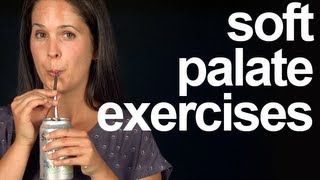 SOFT PALATE EXERCISES 6 of 6  Vocal Exercises  American English Pronunciation [upl. by Ecinna]