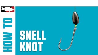 HowTo Tie a Snell Knot [upl. by Nimrahc]