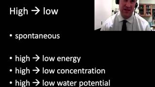 Energy chemistry review part 1  2 [upl. by Trescha]