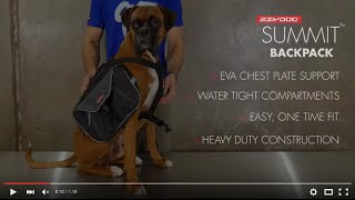 How to fit a Dog Backpack  EzyDog Summit Backpack [upl. by Riek]