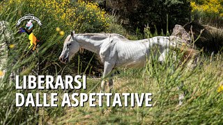 Liberarsi dalle aspettative cosa può insegnarci la storia di un cavallo [upl. by Alyhs]