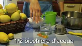 Come fare lo sciroppo di limoni per tante freschissime limonate [upl. by Hynes]