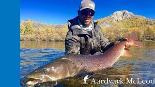 Fly Fishing from Sweetwater Mongolian Taimen Camp [upl. by Kinata]