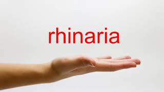 How to Pronounce rhinaria  American English [upl. by Naira]