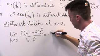 A function with Discontinuous Derivative Ch4 Pr6 [upl. by Robinett]