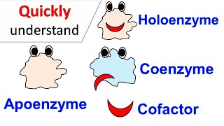 Cofactors  Coenzymes  Holoenzyme  Apoenzyme [upl. by Gisella]