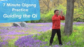 7 Minute Qigong Routine  Guiding the Qi through the Microcosmic Orbit with Jeffrey Chand [upl. by Adnahs104]