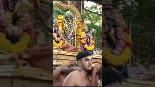 Parthasarathy Pavithrotsavam 2024 Day 6 purapadu Muthangu sevai [upl. by Ymmat]