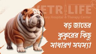 বড় জাতের কুকুরের কিছু স্বাস্থ্য সমস্যা । Some Health Problems with Large Breed Dogs  Vetrilife [upl. by Aguie755]