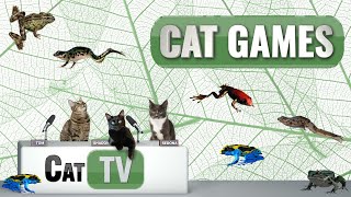 CAT Games  Froggy Frolics 🐸  Cat TV Videos For Cats to Watch 😼 [upl. by Brodench]