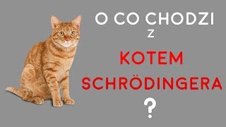 O Co Chodzi z Kotem Schrödingera [upl. by Auerbach]