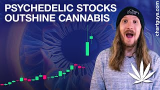 Psychedelic  Cannabis Stock Charts [upl. by Hueston707]