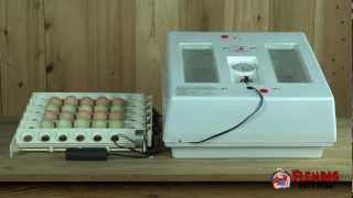 Professional Egg Incubator Kit With Turner [upl. by Senalda]