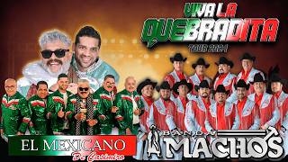 Quebradita Mix De Los 90 Exitos  Quebraditas Mix  El Mexicano Banda Machosy Mas [upl. by Ver]