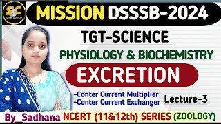 Excretion  Human Physiology  DSSSB TGT Natural Science  Based onNCERT dsssbtgtdsssbtgtexam [upl. by Kama665]