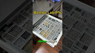 Achieve NextLevel Organization with 3D Printing on the Bambu Lab P1S [upl. by Powe]