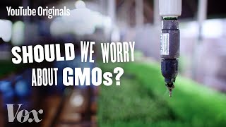 Should We Be Worried About GMOs  Glad You Asked S1 [upl. by Maurice]