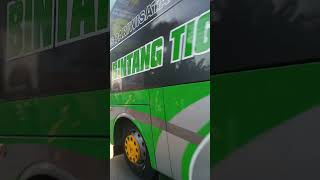 BINTANG TIGA quotDALBERTquot Corong atas 🤩fypシ゚viral basuri busmania [upl. by Durand526]