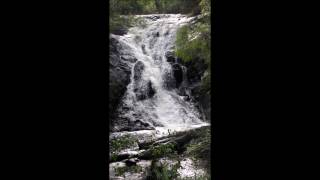 Beedelup Falls  Greater Beedelup National Park Western Australia [upl. by Alyehc840]