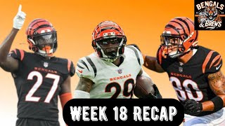 Bengals vs Browns Recap [upl. by Adneram]