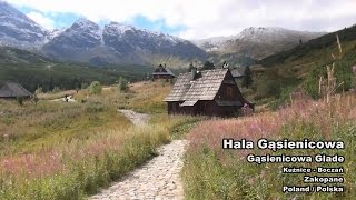 Hala Gąsienicowa  Gasienicowa Glade Zakopane Polska  Poland [upl. by Jennings]