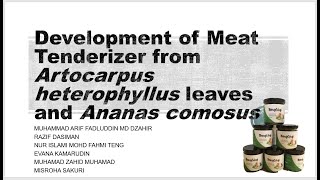 AgriFood Innovation  The Nangging Development of Meat Tenderizer [upl. by Annadiane]