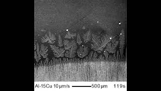 Nucleation and fragmentation of dendrites in AlCu [upl. by Koblas]