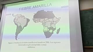 Fiebre amarilla  7mo rote Dr Mujica [upl. by Slack316]