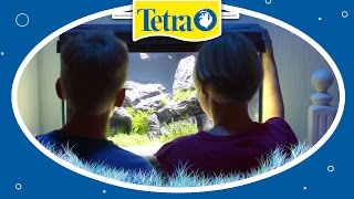 Perfekte Beleuchtung fürs Aquarium TETRA AquaArt [upl. by Eremahs377]